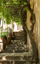 steps